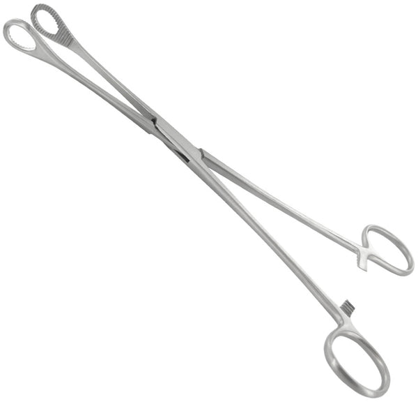 Pince Foerster droite 24 cm