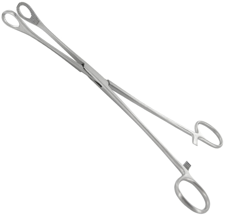 Pince Foerster droite 24 cm