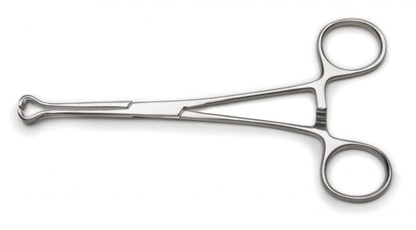 Pince Babcock
