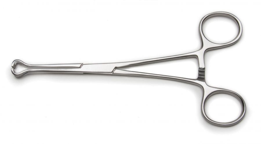 Pince Babcock